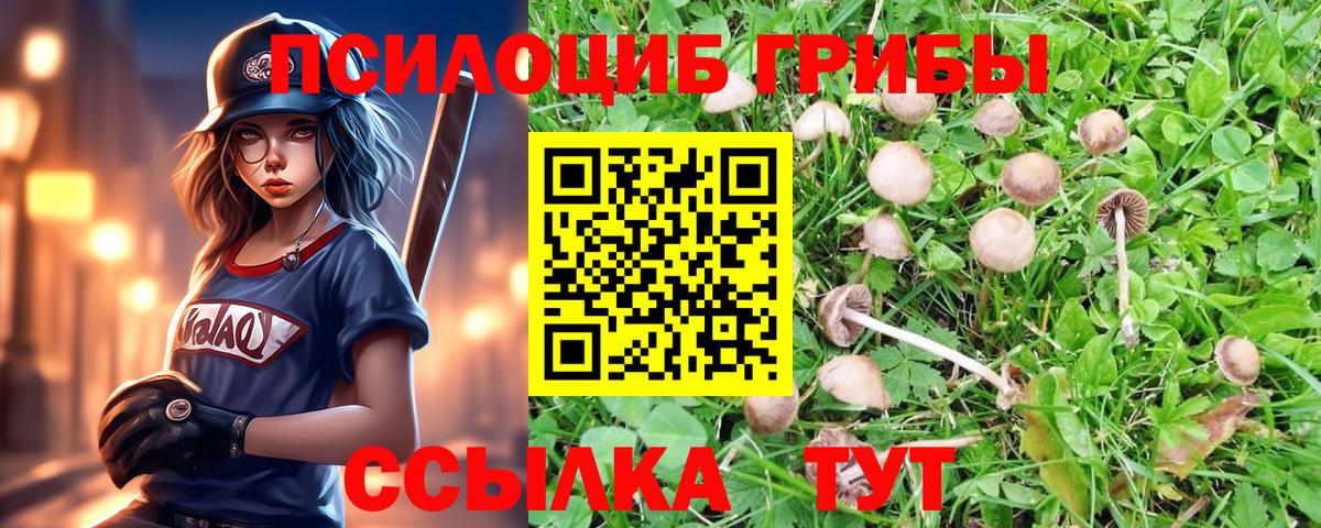 Псилоцибиновые грибы MAGIC MUSHROOMS Долгопрудный